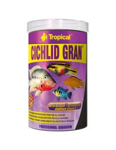Cichlid Gran