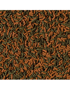 Cichlid Red&Green Medium... 2