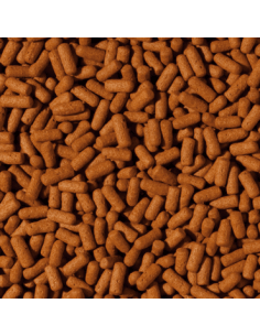 Cichlid & Arowana Large sticks 2