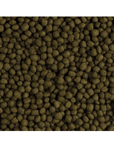 Flower Horn Adult Pellet 2