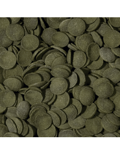 Green Algae Wafers 2