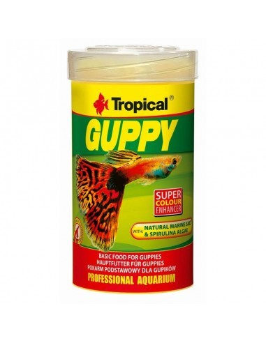 Guppy