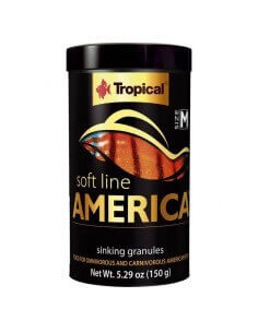 Soft line America M