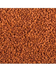 Soft line Africa Carnivore 2