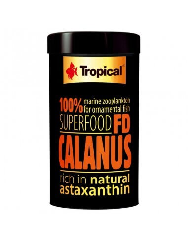 FD Calanus