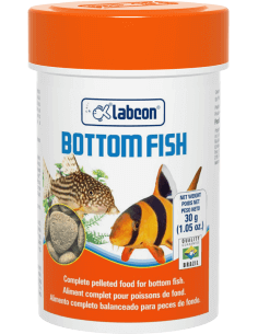 Bottom Fish