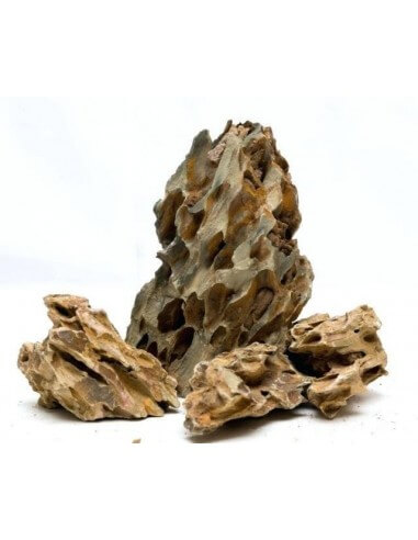 Roca Ohko Dragón (alveolada) 1 kg