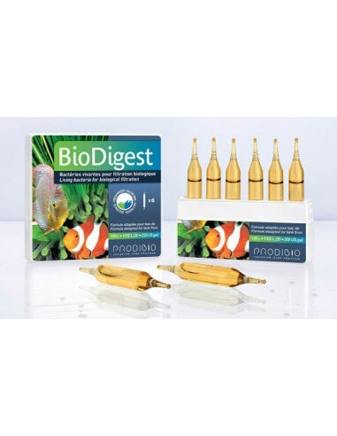 Biodigest de Prodibio (1 ampolla)