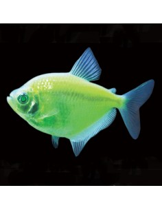 Monjita Verde Fluo...