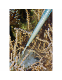 Pipette de Aqua Medic 60 cm... 2