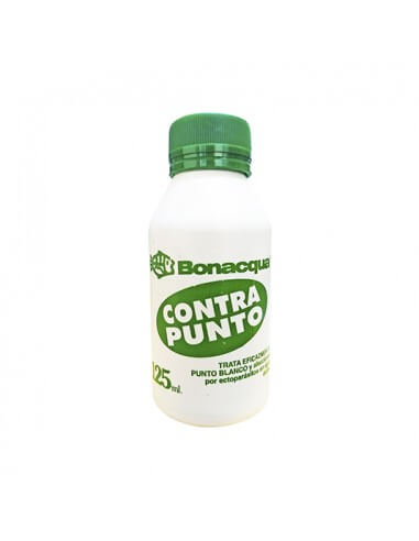 Contrapunto