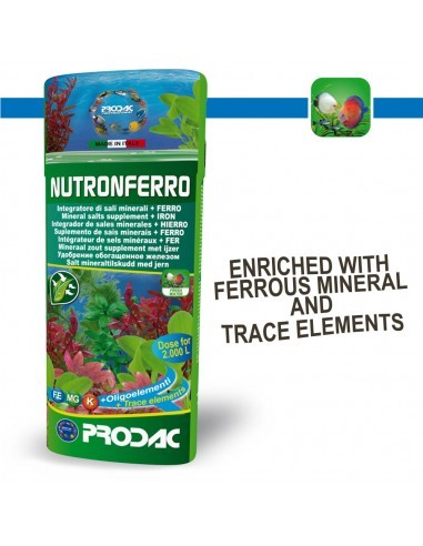 Nutronferro