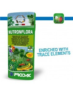 Nutronflora