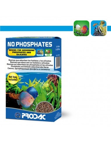 No Phosphates
