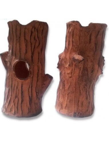 Tronco hueco