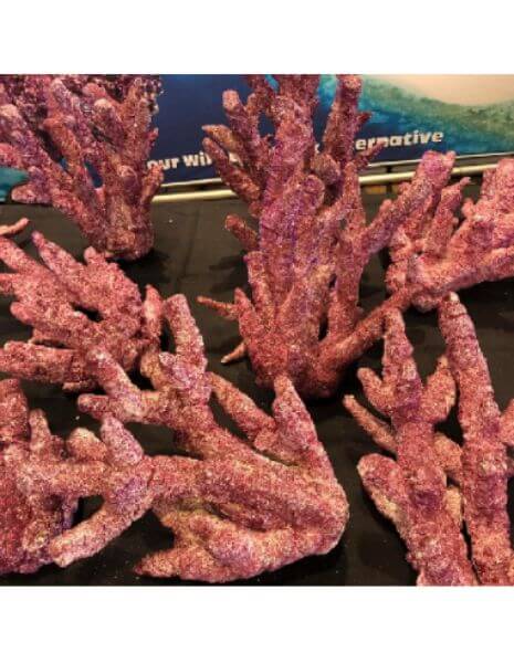 Roca Fiji Bruna Branch  (1 kg)
