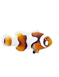 Cheekspot Picasso...