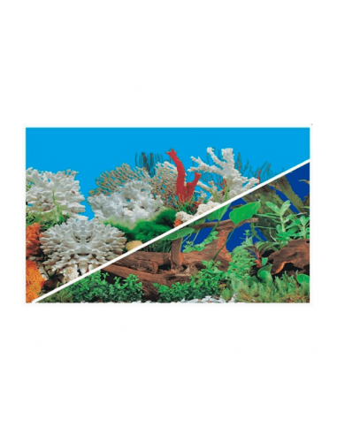 Lamina Fondo Doble Faz 62/59 40Cm