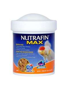 MAX GOLDFISH ESCAMAS 2