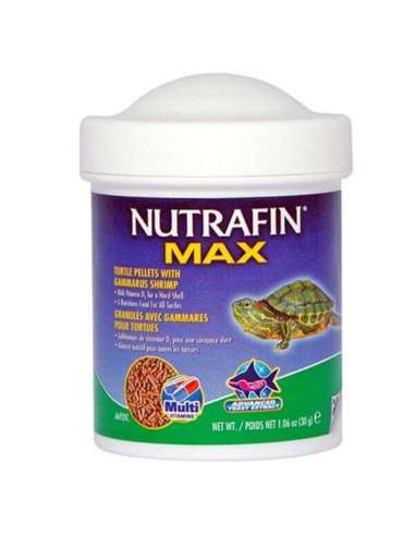 MAX TORTUGA