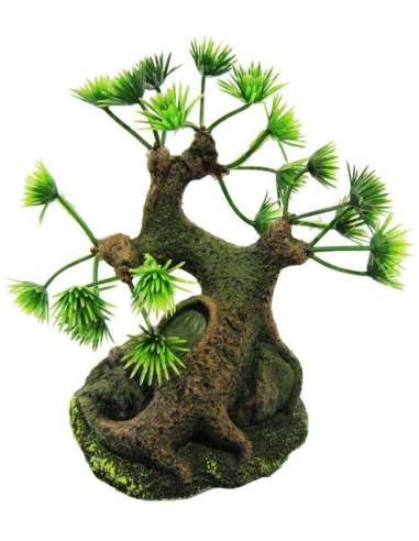 Bonsai 10X9X15 De Resina